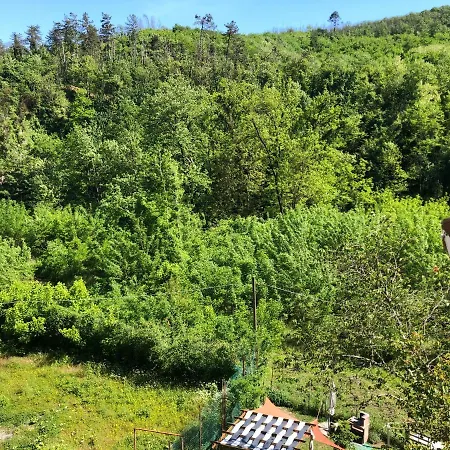 Maison44 Bed & Breakfast